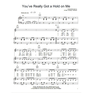 You've Really Got A Hold On Me