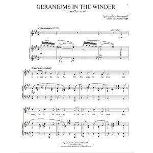 Geraniums In The Winder