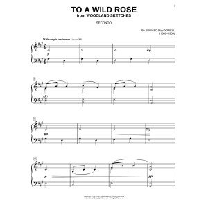 To A Wild Rose
