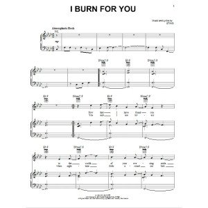 I Burn For You