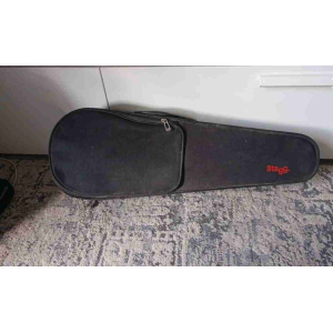 Stagg Violon 1/2