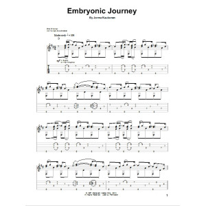 Embryonic Journey