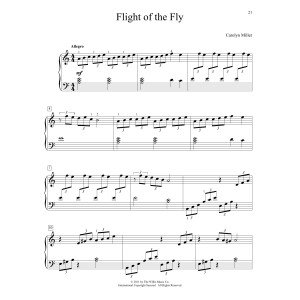 Flight Of The Fly
