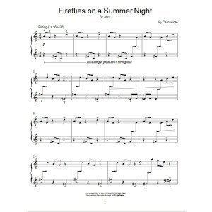 Fireflies On A Summer Night