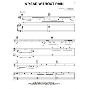A Year Without Rain