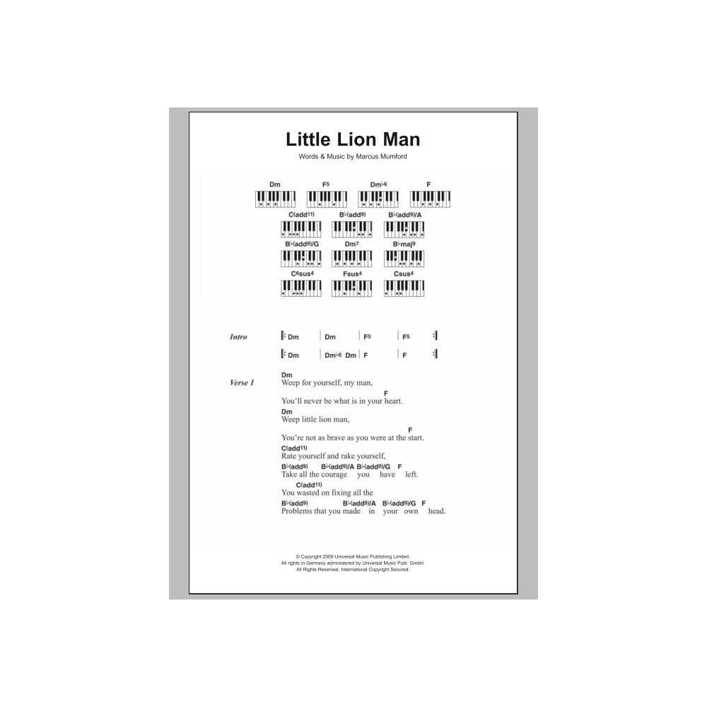 Little Lion Man