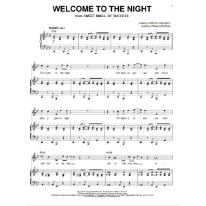 Welcome To The Night