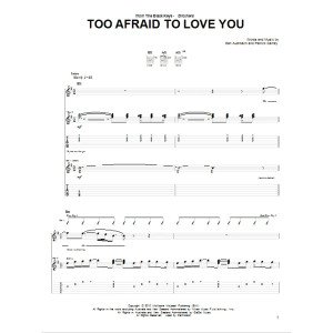 Too Afraid To Love You