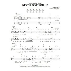 Never Give You Up