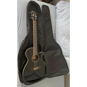 Ibanez Electro-Acoustic Guitar