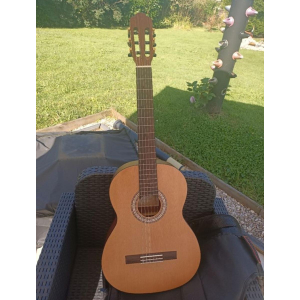 Guitarra Prodipe Pimera 4/4