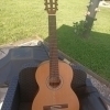 Prodipe Pimera 4/4 Guitar