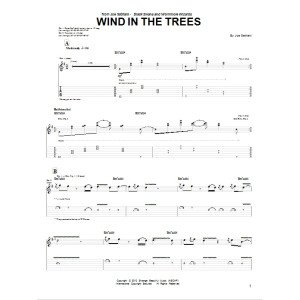 Wind In The Trees