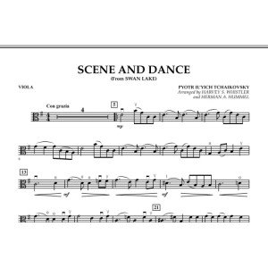 Szene und Tanz (aus "Schwanensee") - Viola