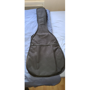 Guitare Folk Cort Earth 100