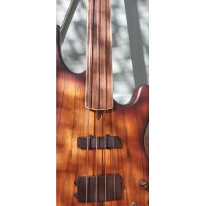 Guitarra bajo CORT (rara sin trastes)