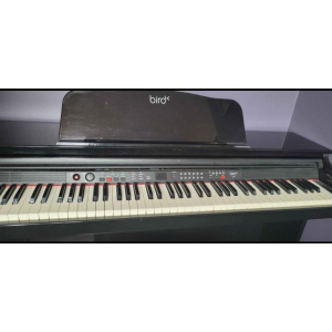 Digital Piano Bird