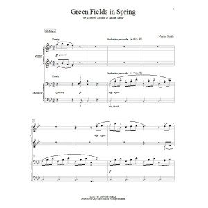Green Fields In Spring