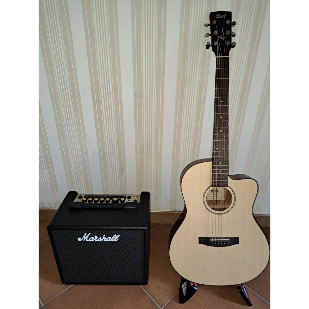 Acoustic-electric guitar and amplifier