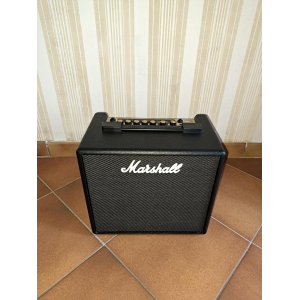 Acoustic-electric guitar and amplifier