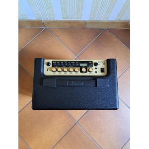 Acoustic-electric guitar and amplifier