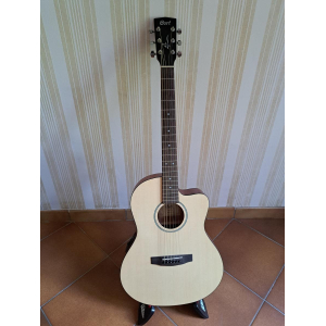 Acoustic-electric guitar and amplifier