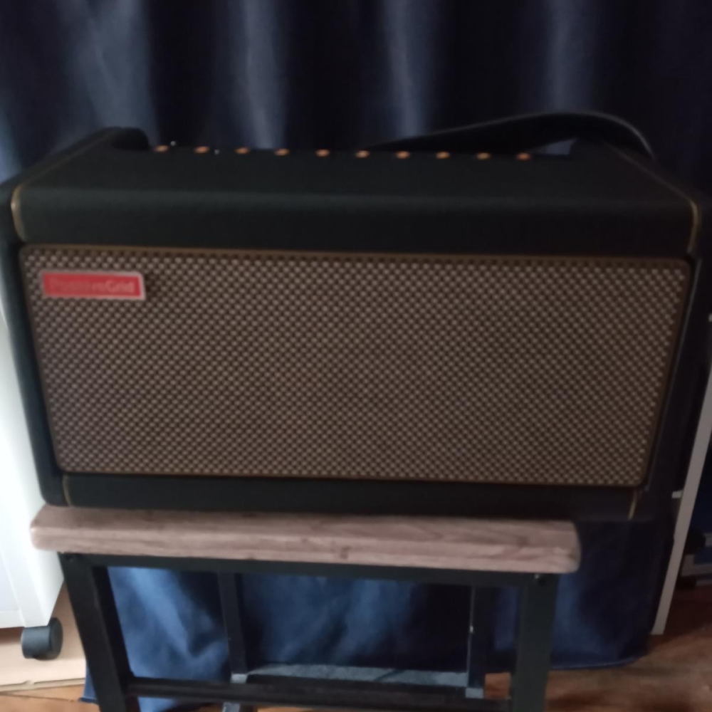 Sell Sparks 40W amplifier