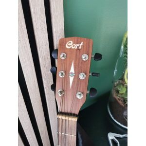 Folk Guitar Earth60ns