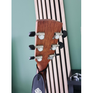 Folk Guitar Earth60ns