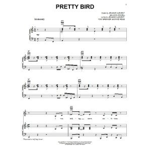 Pretty Bird
