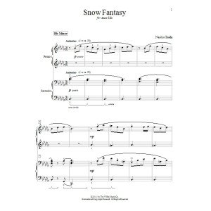 Snow Fantasy