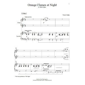 Orange Flames At Night (Hot Night)