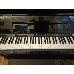 Schubert Piano vertical.