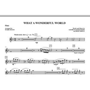 What A Wonderful World - Flute
