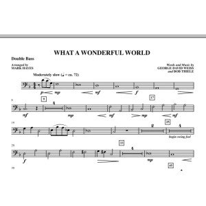 What A Wonderful World - Double Bass