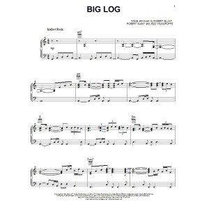 Big Log