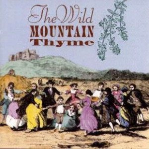 Wild Mountain Thyme