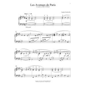 Die Avenuen von Paris