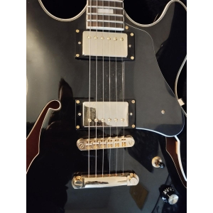 Larry Carlton Signature Guitar