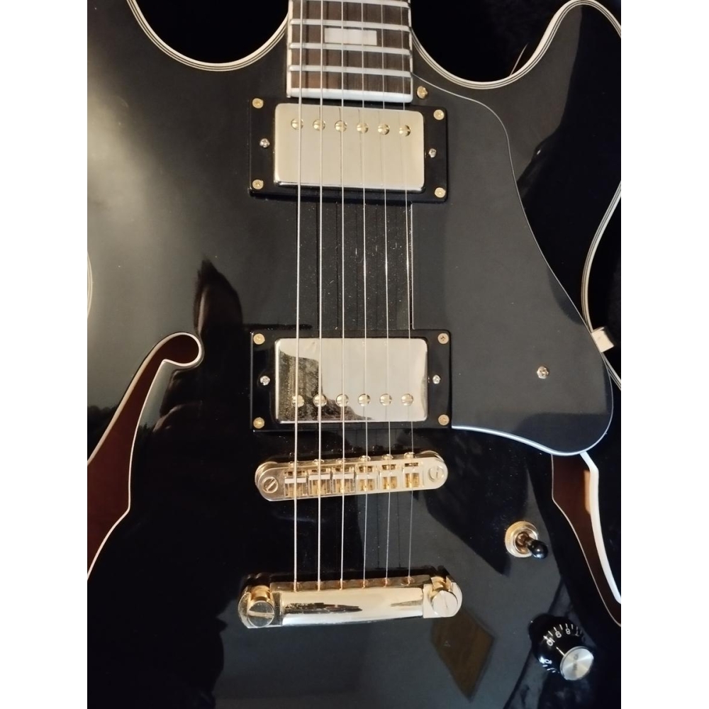 Sire Larry Carlton Guitarr@