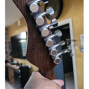 La guitarra Mayones Aquila Elite S6 es una obra maestra de artesanía y calidad. Con una construcción sólida y meticulosa 
