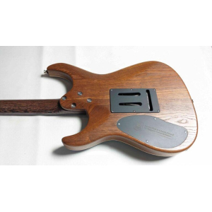 La guitarra Mayones Aquila Elite S6 es una obra maestra de artesanía y calidad. Con una construcción sólida y meticulosa 