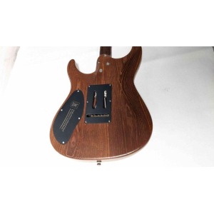 La guitarra Mayones Aquila Elite S6 es una obra maestra de artesanía y calidad. Con una construcción sólida y meticulosa 