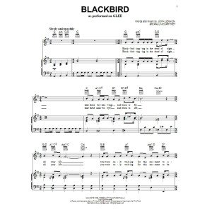 Blackbird