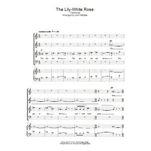 The Lily-White Rose