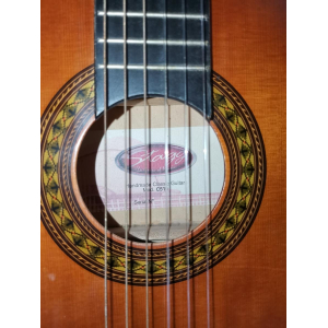 Deux Guitares Classiques dont électro