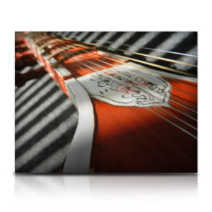 Soundiron Bizarre Sitar