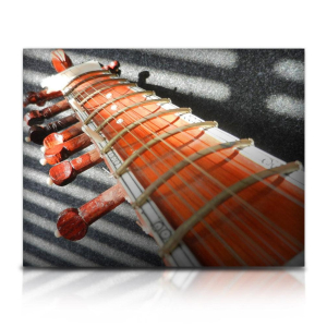 Soundiron Bizarre Sitar