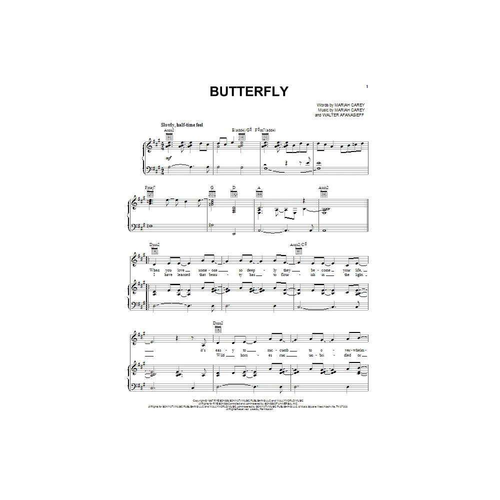 Butterfly