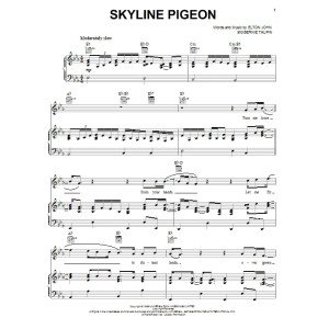 Skyline Pigeon